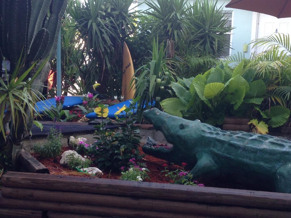 Angelfish Inn Hollywood Ngoại thất bức ảnh